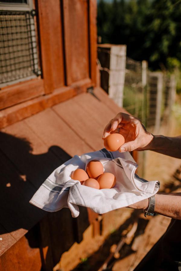 Sakura Ridge The Farm & Lodge 후드리버 외부 사진